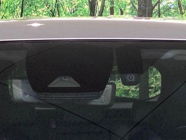 22620284_carP_l_13.jpg