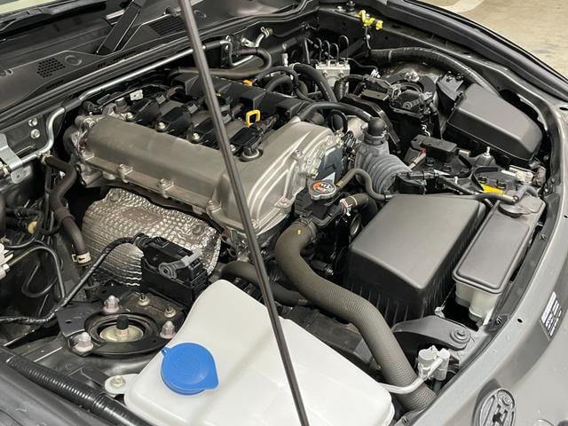 3000528A30250731W00318.jpg