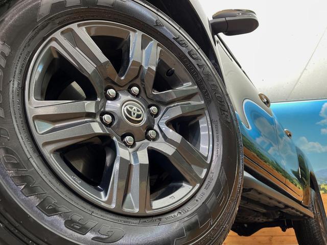 22799686_carP_l_8.jpg