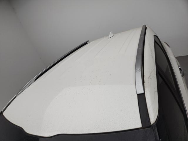 lotterental_211110444_pwoUS_2.jpg