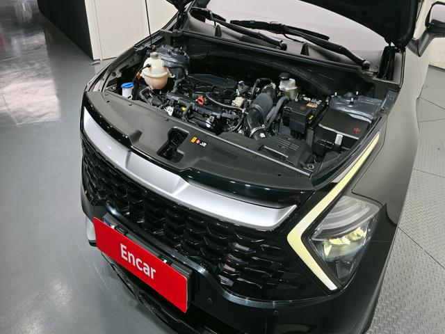 36e0712393dd85521a8cb29098395612.jpeg