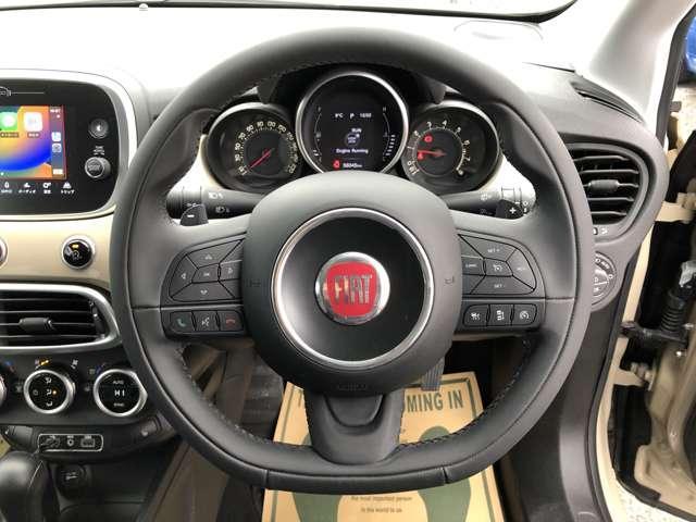 22133806_carP_l_4.jpg
