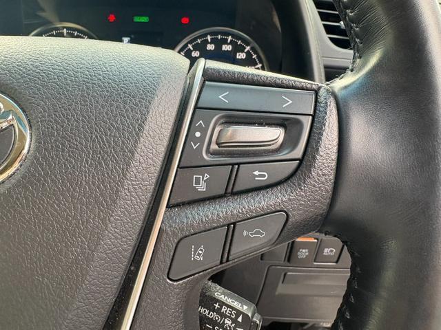 22505081_carP_l_19.jpg