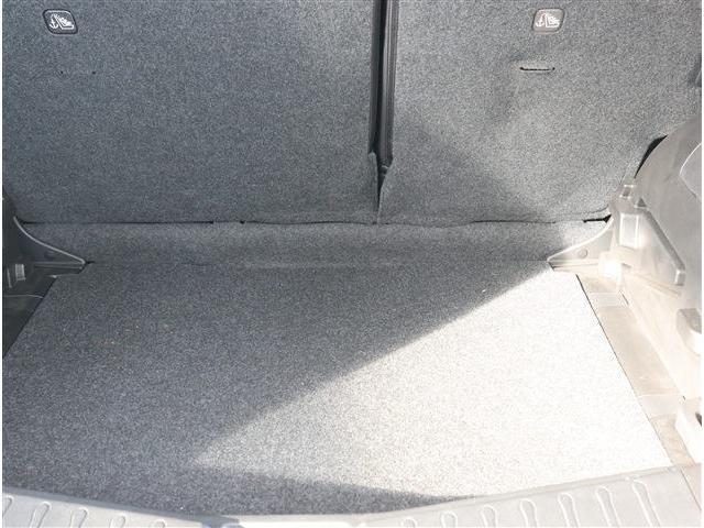 22285162_carP_l_18.jpg