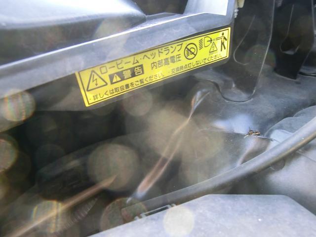 21624777_carP_l_17.jpg