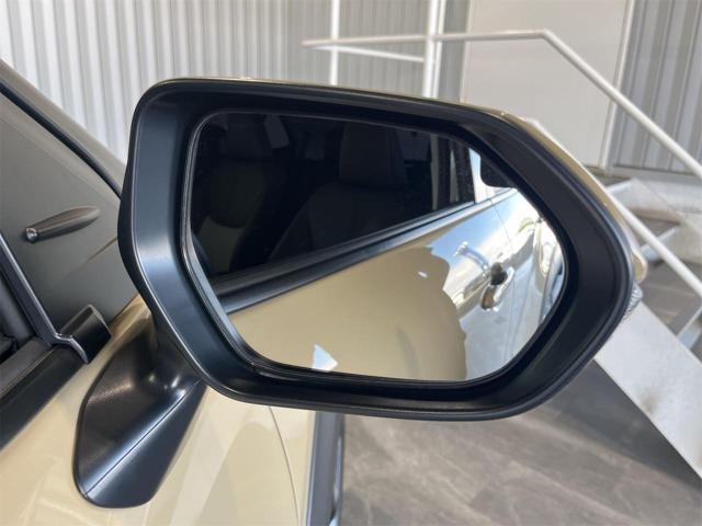 f250b9bc1ec6c521190394ccbfcced8f.jpg