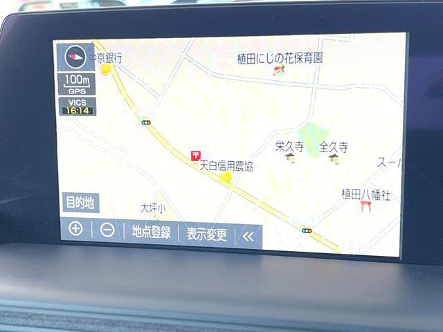 23130370_carP_l_10.jpg