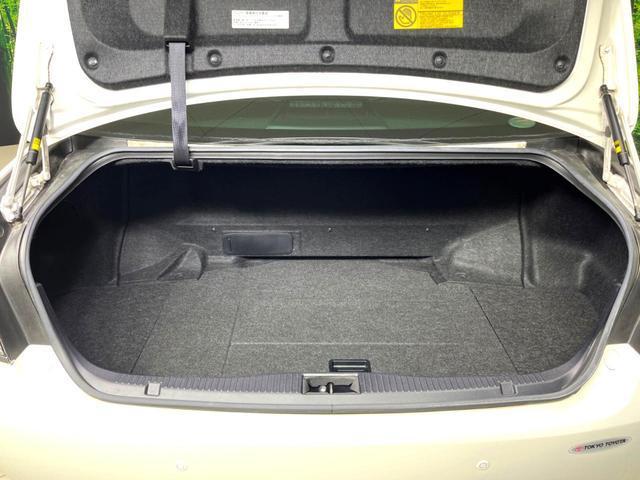 22818273_carP_l_2.jpg