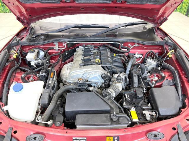 21253753_carP_l_16.jpg