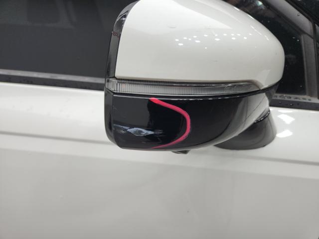 lotterental_150422789_Ygdb1_1.jpg