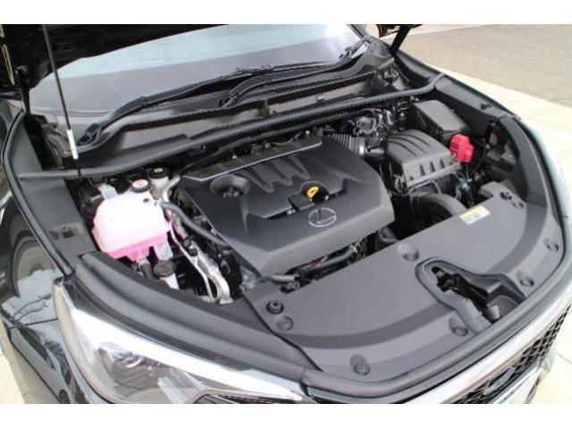 22989211_carP_l_17.jpg