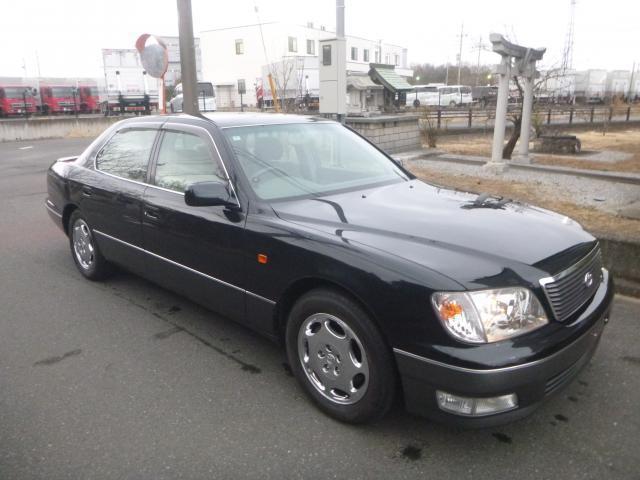 23019566_carP_l_3.jpg
