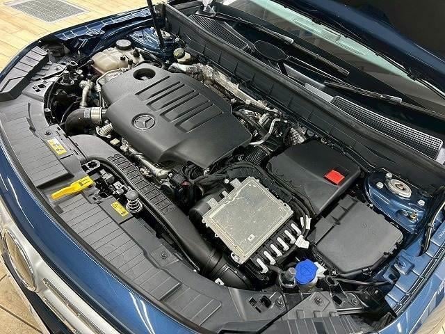 18590400_carP_l_9.jpg