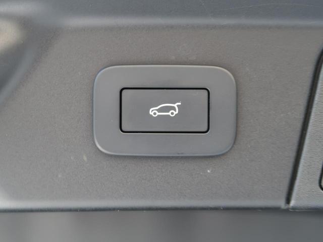 22261462_carP_l_14.jpg