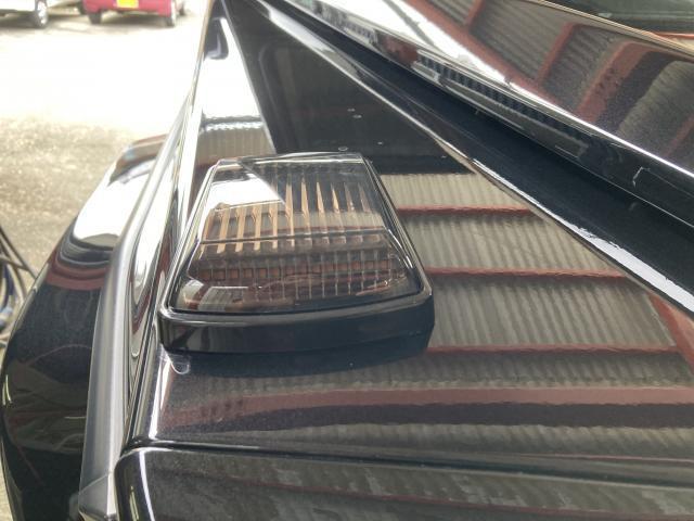19645089_carP_l_8.jpg