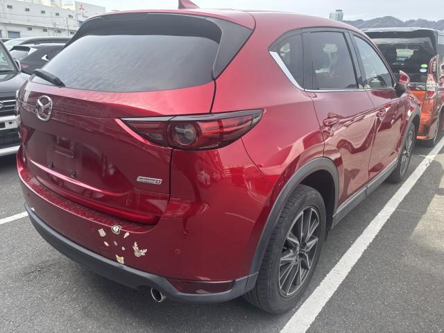 22600507_carP_l_14.jpg
