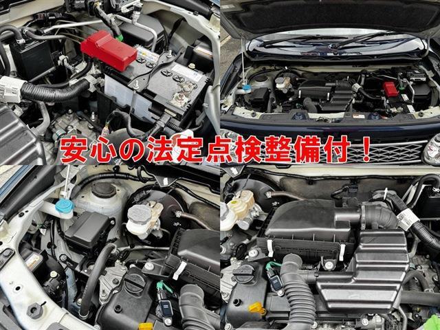 22563683_carP_l_17.jpg