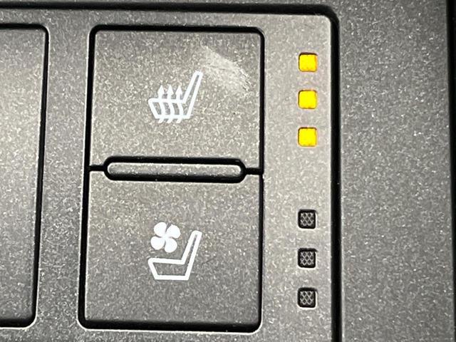 22448607_carP_l_5.jpg
