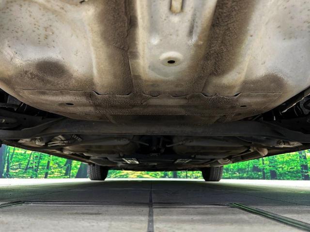 20435716_carP_l_18.jpg