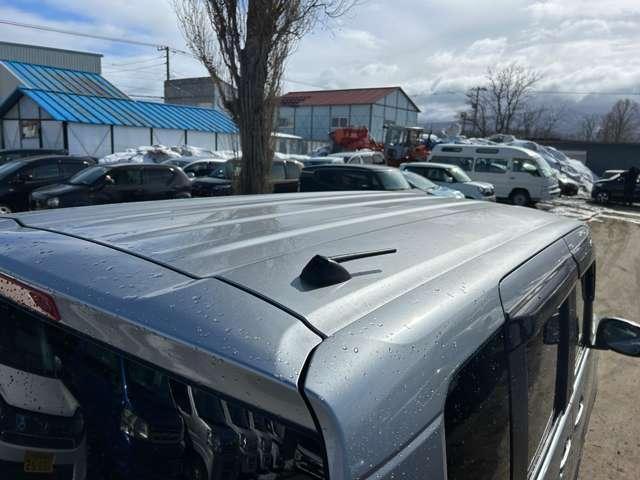 22734424_carP_l_12.jpg