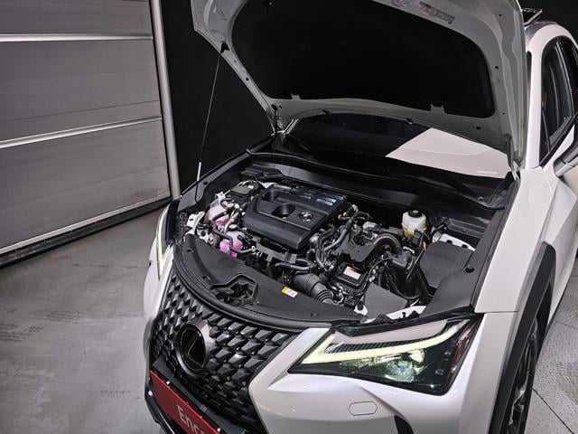 325034ff53be546f1508390b99646e8e.jpeg