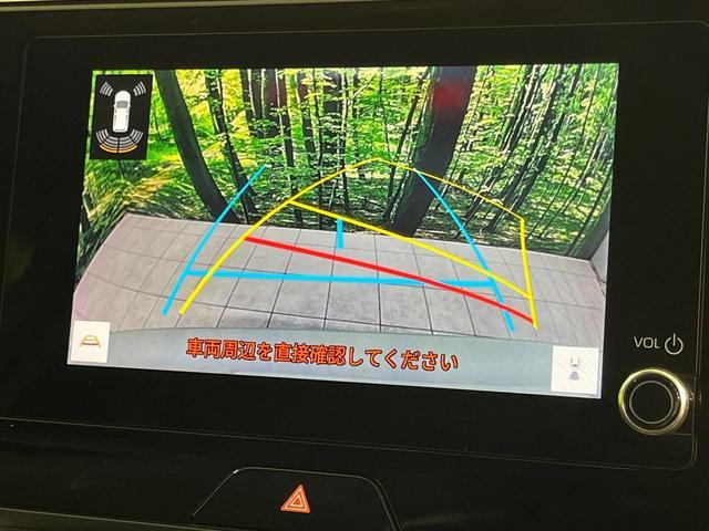 20503458_carP_l_4.jpg