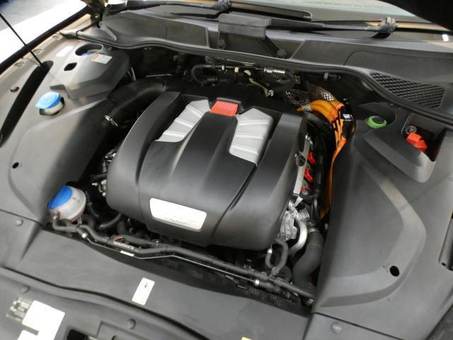 21654332_carP_l_20.jpg