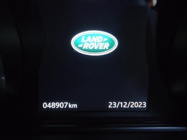 8052303_carP_l_16.jpg