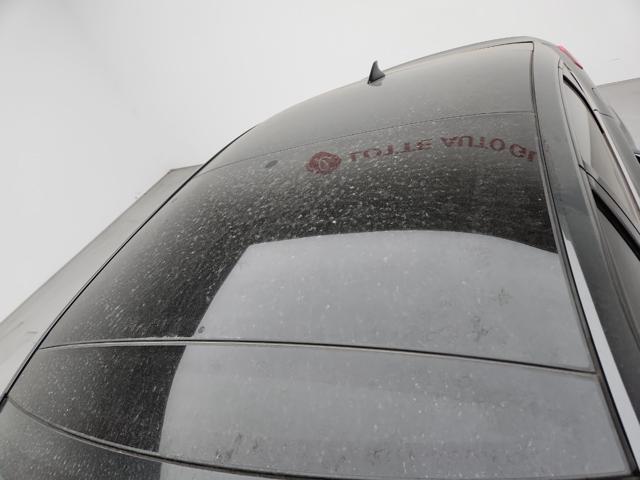 lotterental_131125287_bqkRr_1.jpg