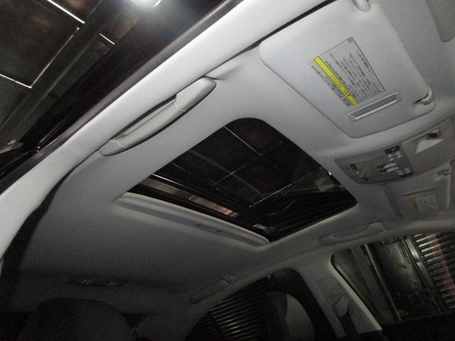 22753548_carP_l_16.jpg
