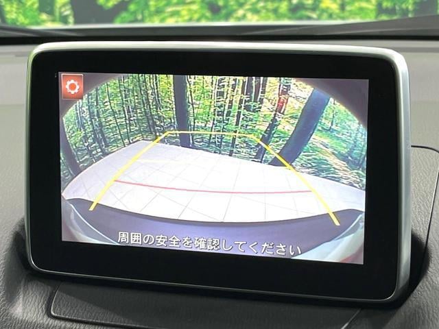 19307034_carP_l_4.jpg