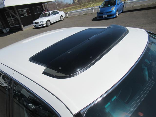 0404187A30260307W00113.jpg