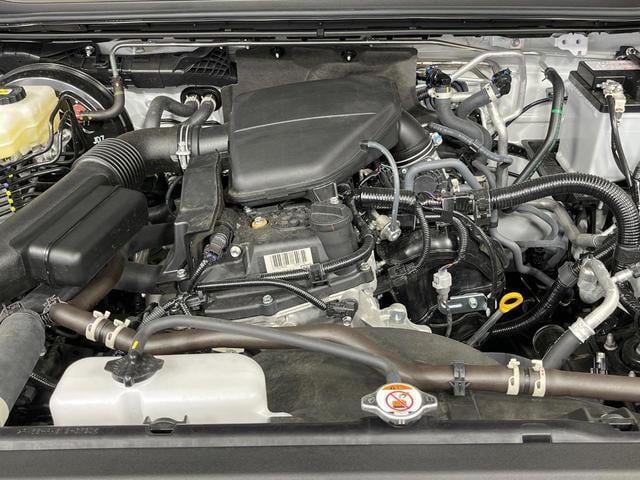 19552777_carP_l_20.jpg
