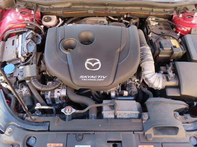 21200729_carP_l_7.jpg