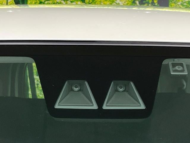 18403976_carP_l_15.jpg