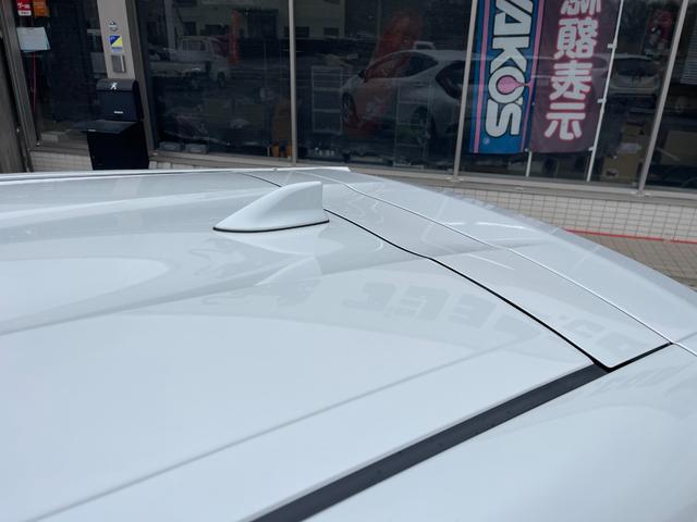 0540484A30260326W00215.jpg
