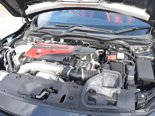 21753492_carP_l_7.jpg