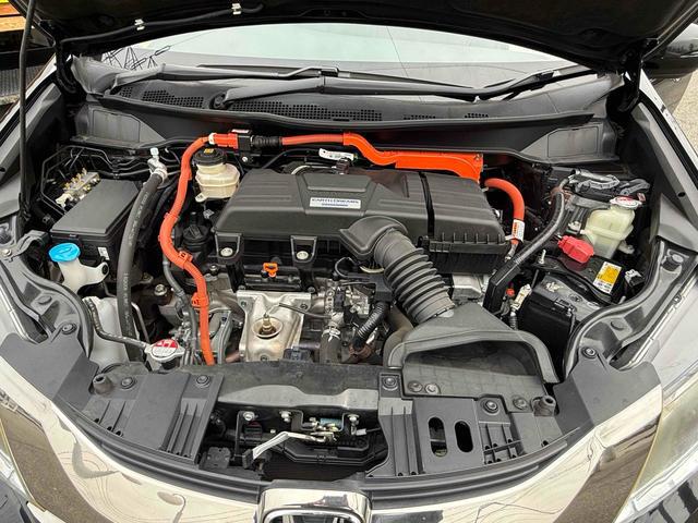1201294A30260406W00219.jpg