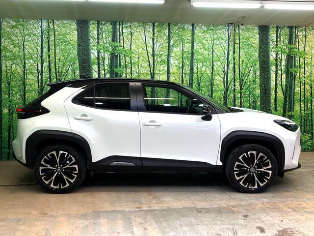 20625570_carP_l_8.jpg