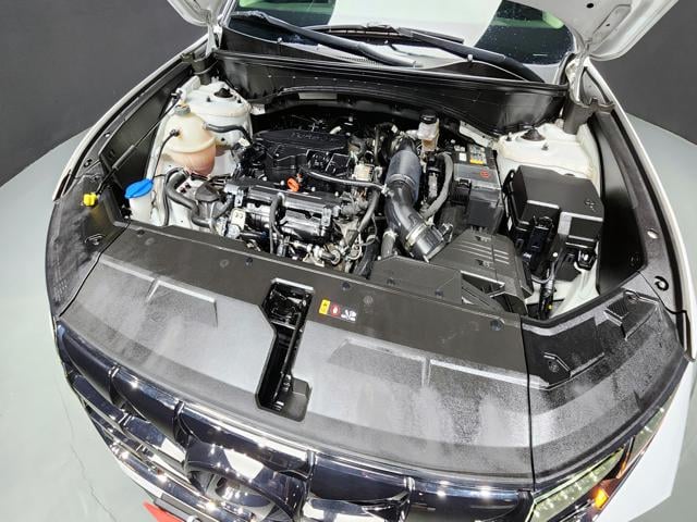 3cd39dab69342eb953c01fc84ba8673d.jpeg