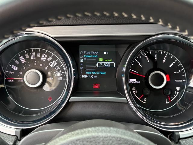 9500070A30260207W00209.jpg