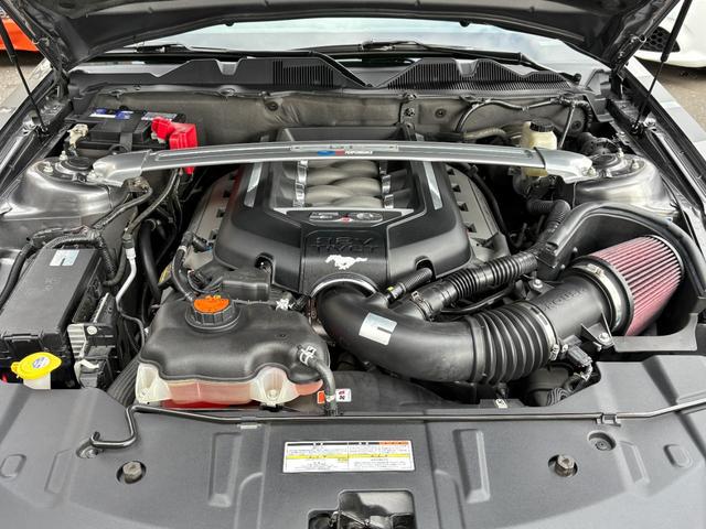 9500070A30260207W00218.jpg