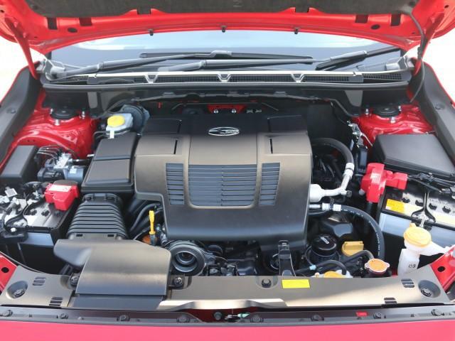 22353974_carP_l_17.jpg