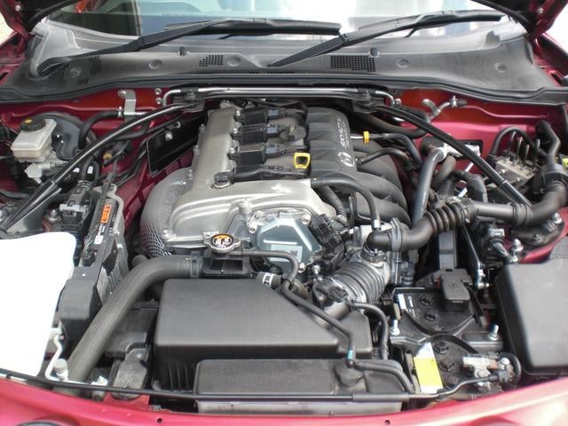 0209195A30250627W00116.jpg