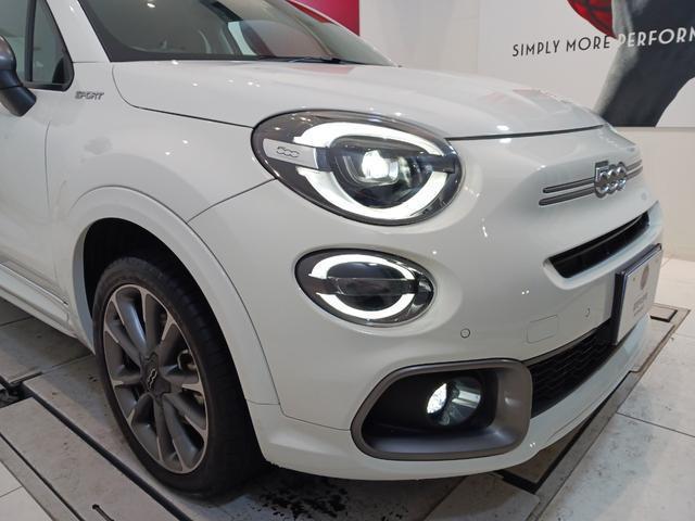 23130896_carP_l_19.jpg