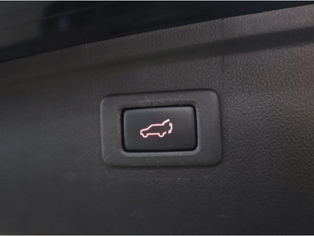 20969336_carP_l_20.jpg