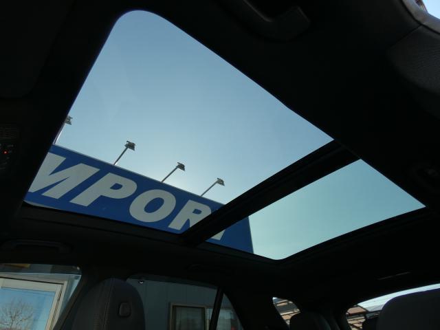 21113421_carP_l_16.jpg