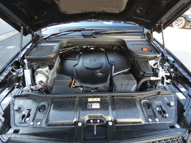 21113421_carP_l_20.jpg