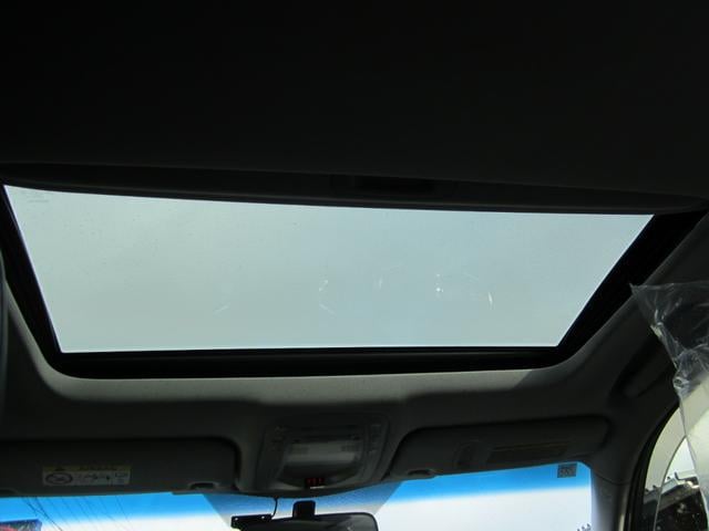 0707785A30250303W00213.jpg