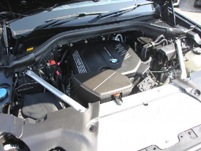 22841533_carP_l_4.jpg